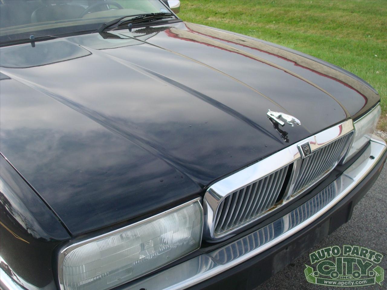 Jaguar XJ Sedan XJ6 1994