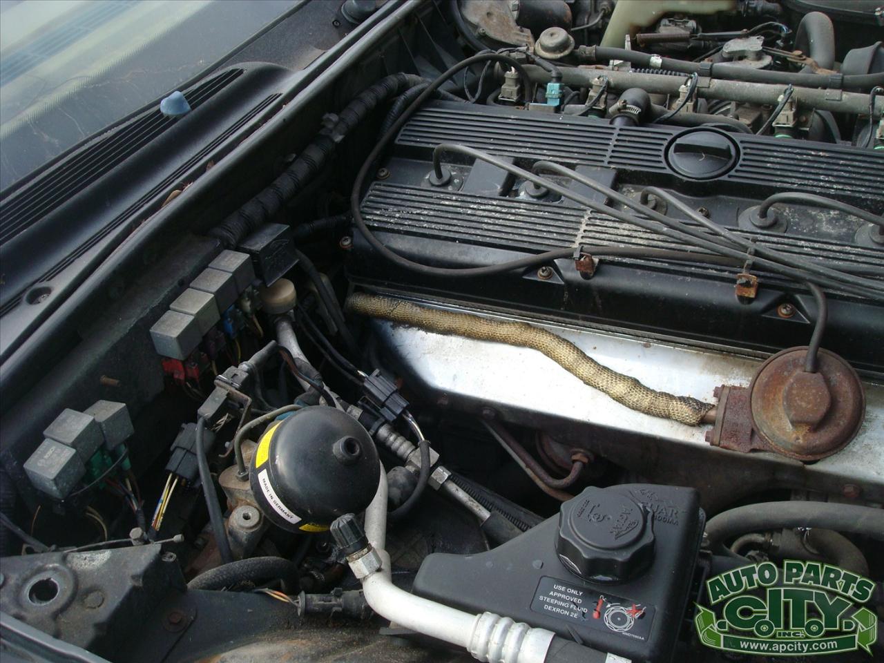 Jaguar XJ Sedan XJ6 1994