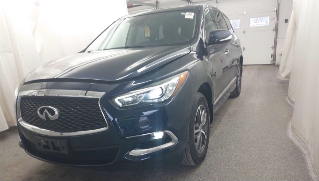 2019 INFINITI QX60 PURE's photo