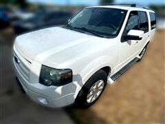 2010 Ford Expedition  2010 Ford Expedition