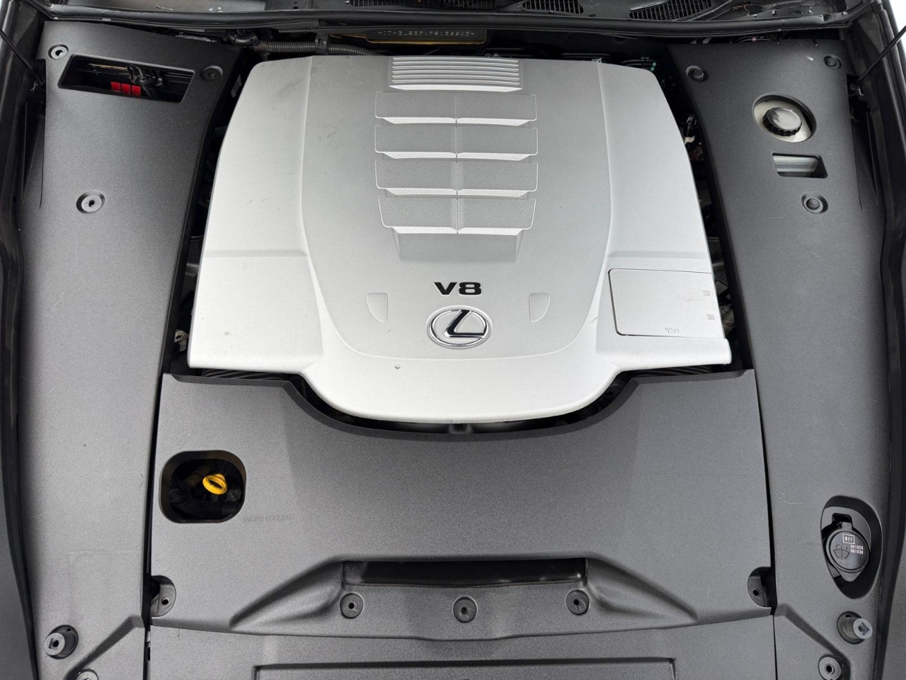 Lexus LS 460 Luxury Sedan 2015 Lexus LS 460 Luxury Sedan 2015