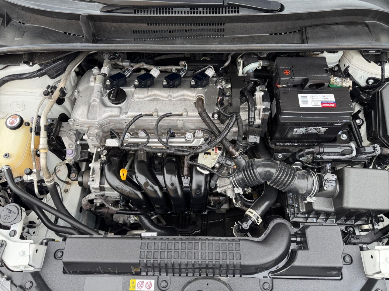 Toyota Corolla LE 2021