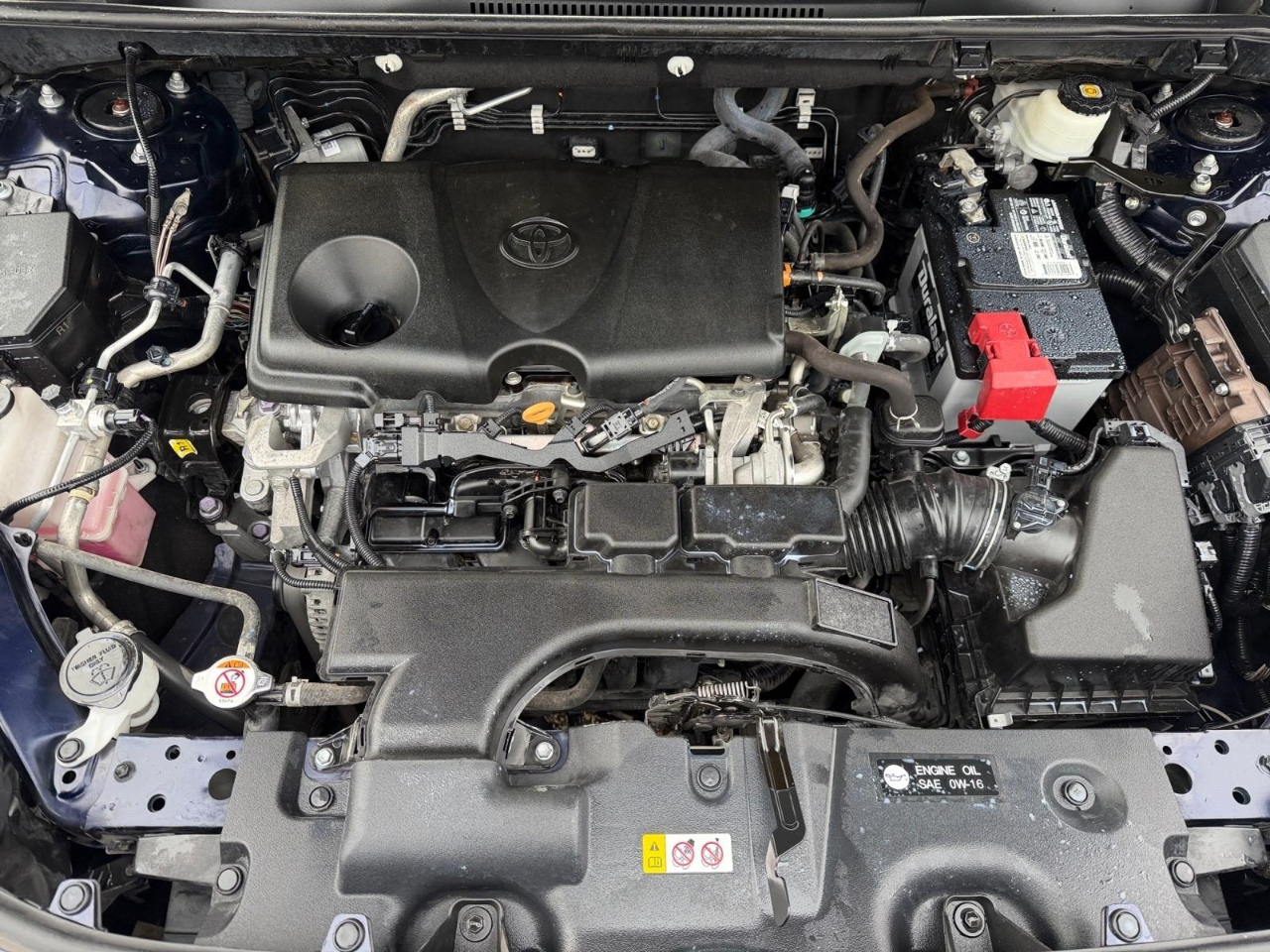 Toyota RAV4 XLE 2020