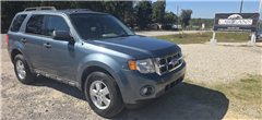 2011 Ford Escape 