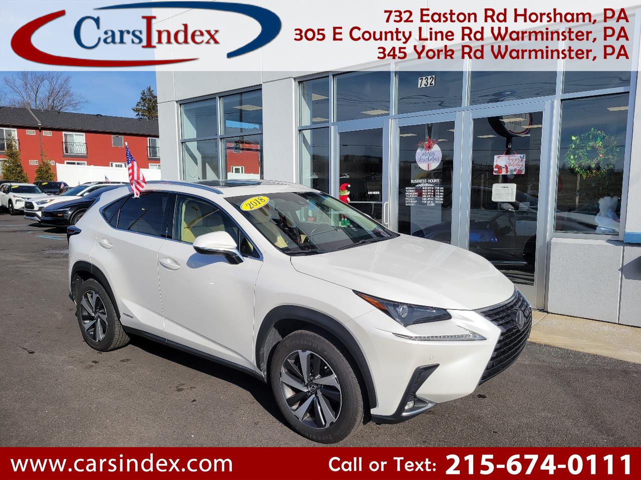 2018 Lexus NX 300h's photo