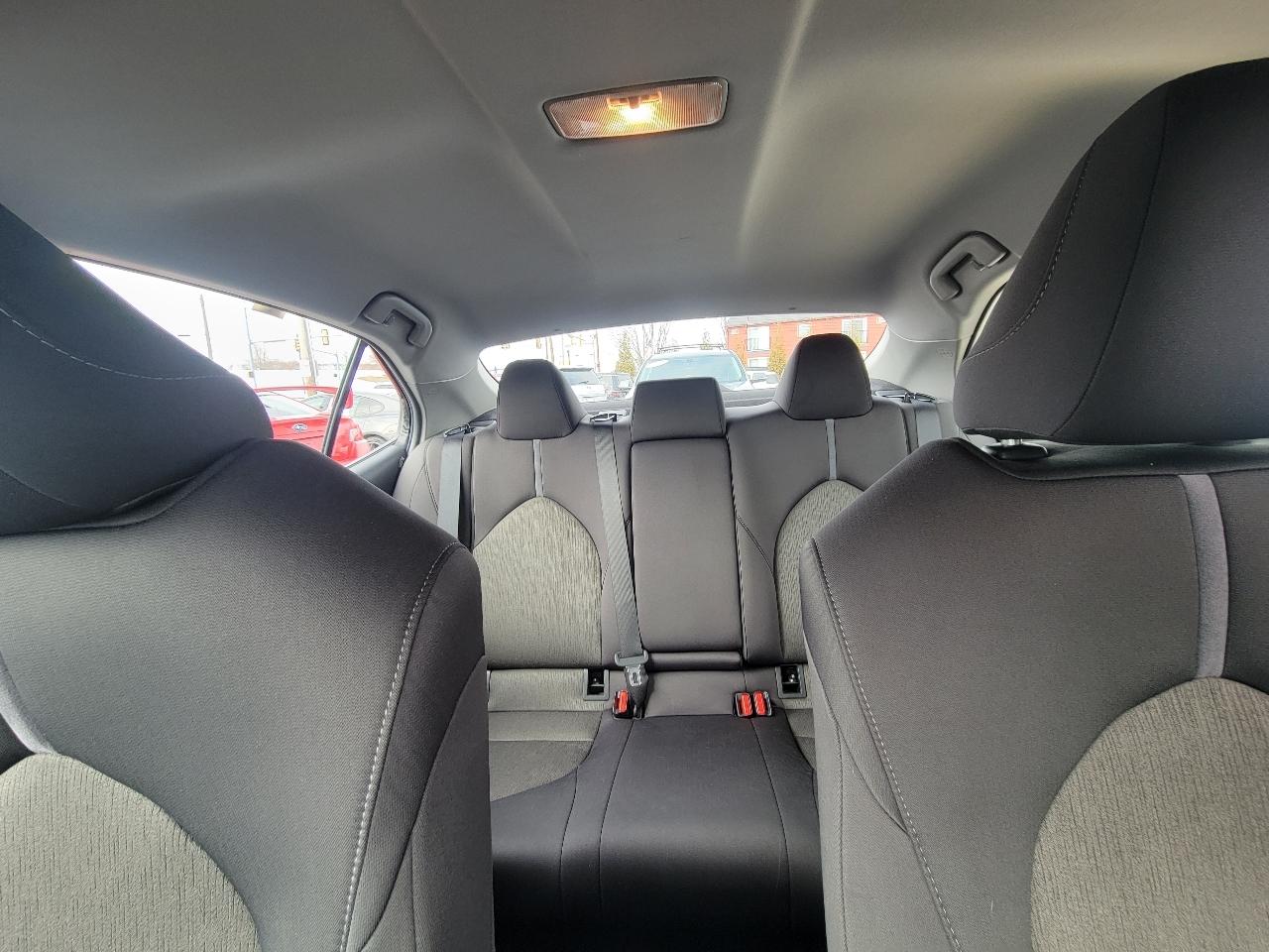 Toyota Camry LE Auto (Natl) 2023