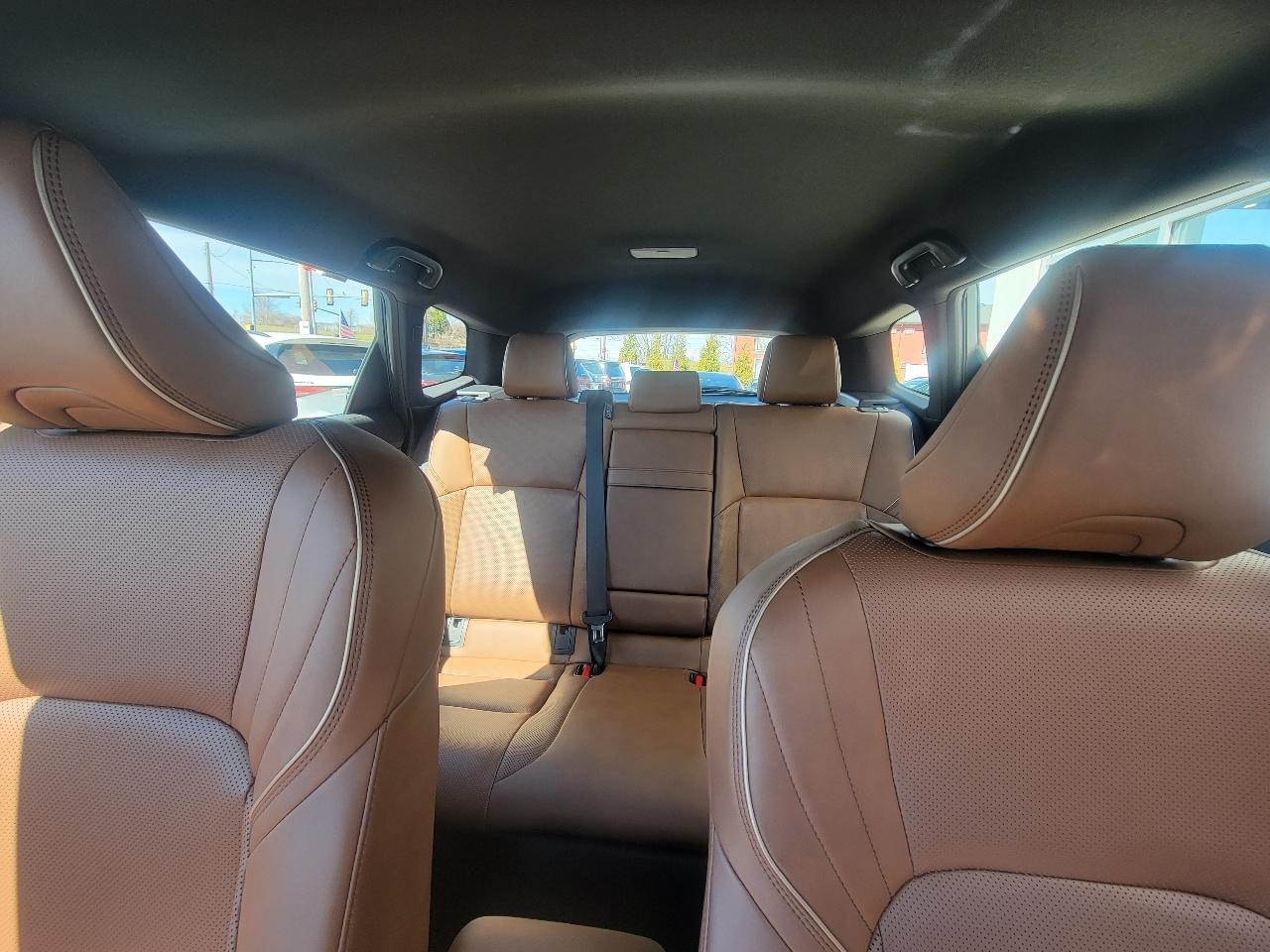 Toyota Crown Signia XLE AWD (Natl) 2025