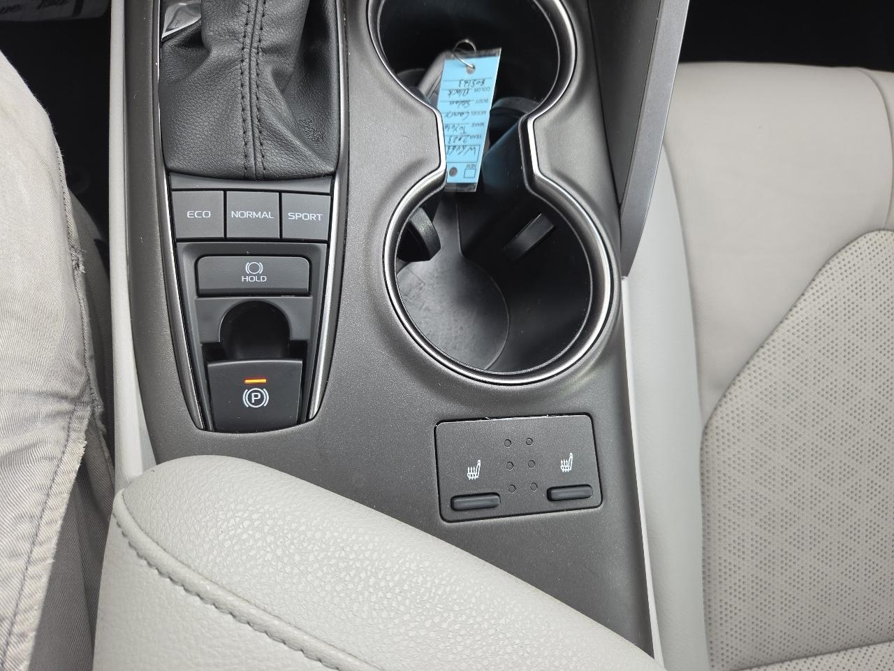 Toyota Camry XSE Auto (Natl) 2023