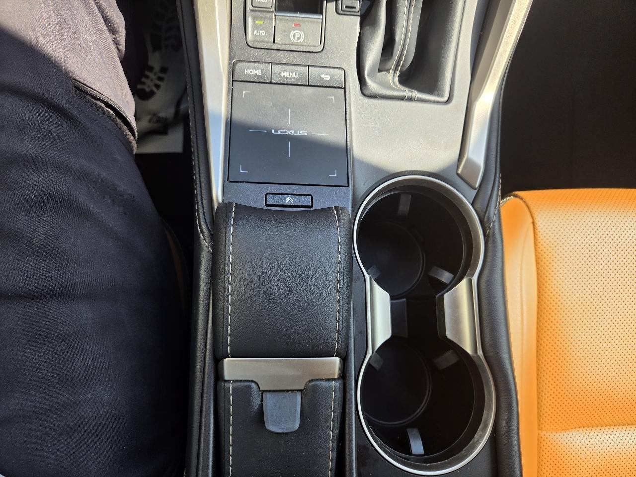 Lexus NX NX 300 AWD 2020