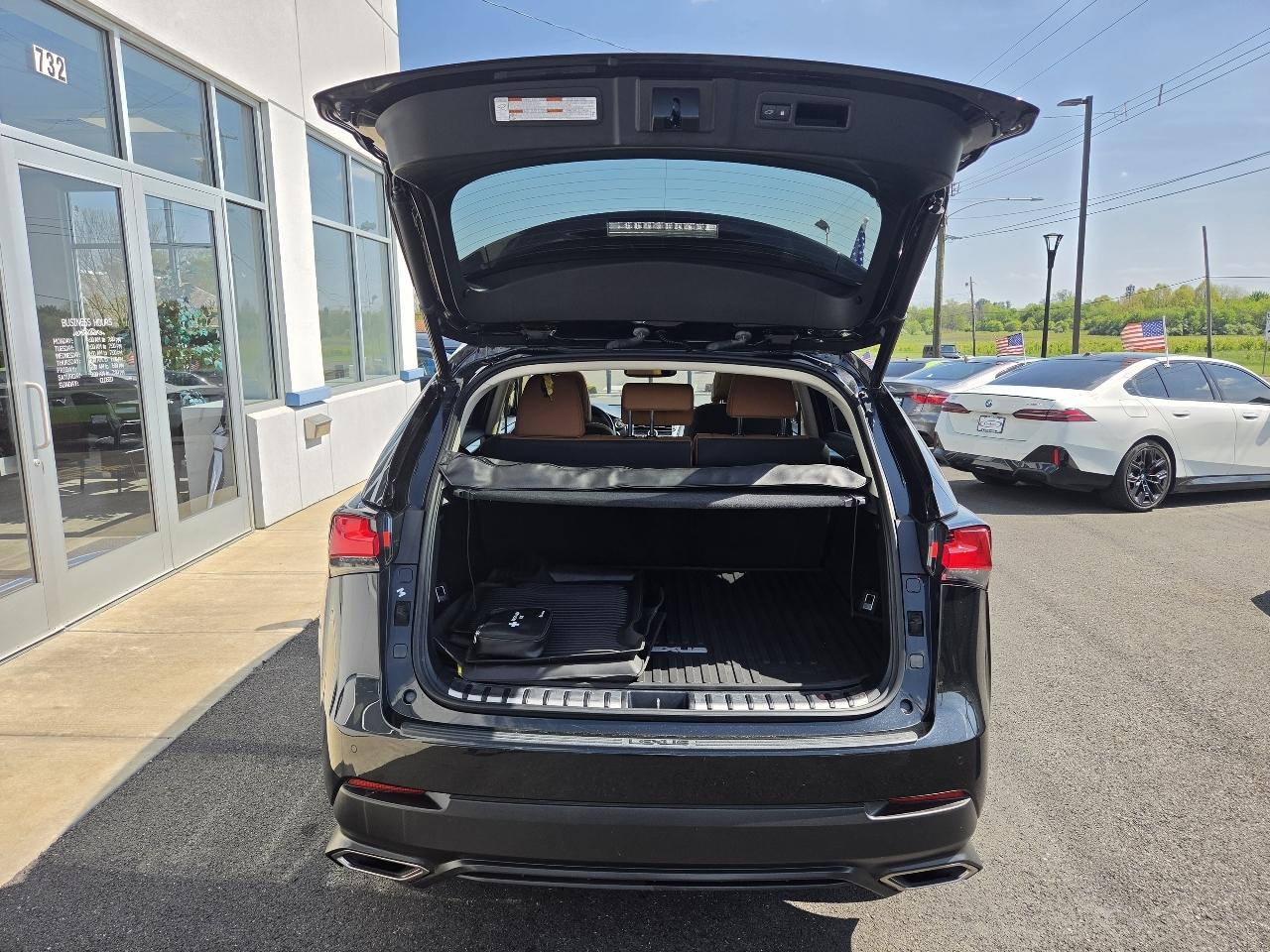 Lexus NX NX 300 AWD 2020