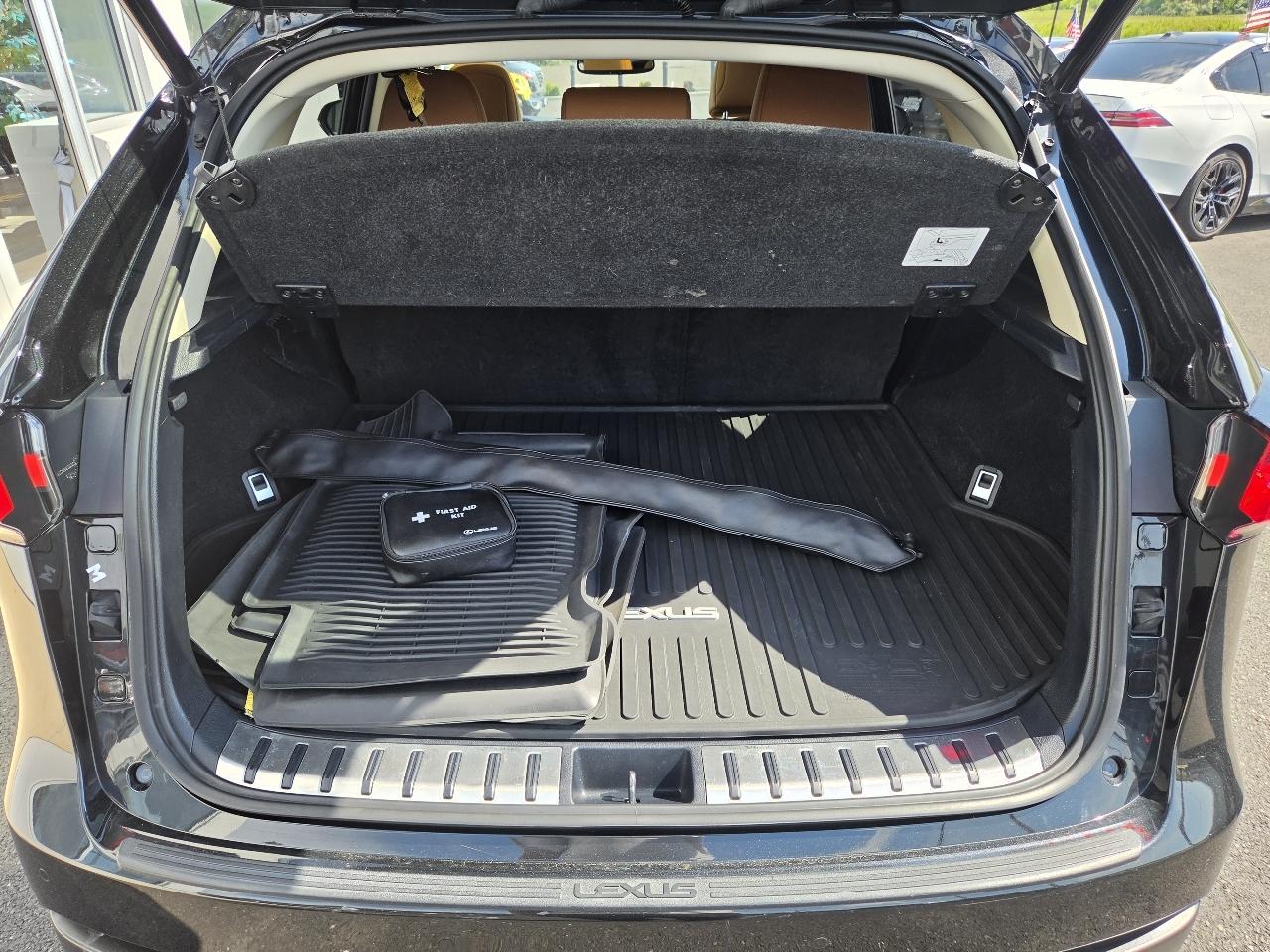 Lexus NX NX 300 AWD 2020