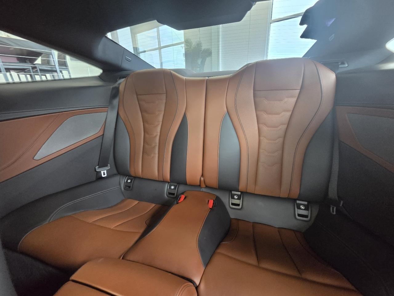 BMW 8 Series M850i xDrive Coupe 2019