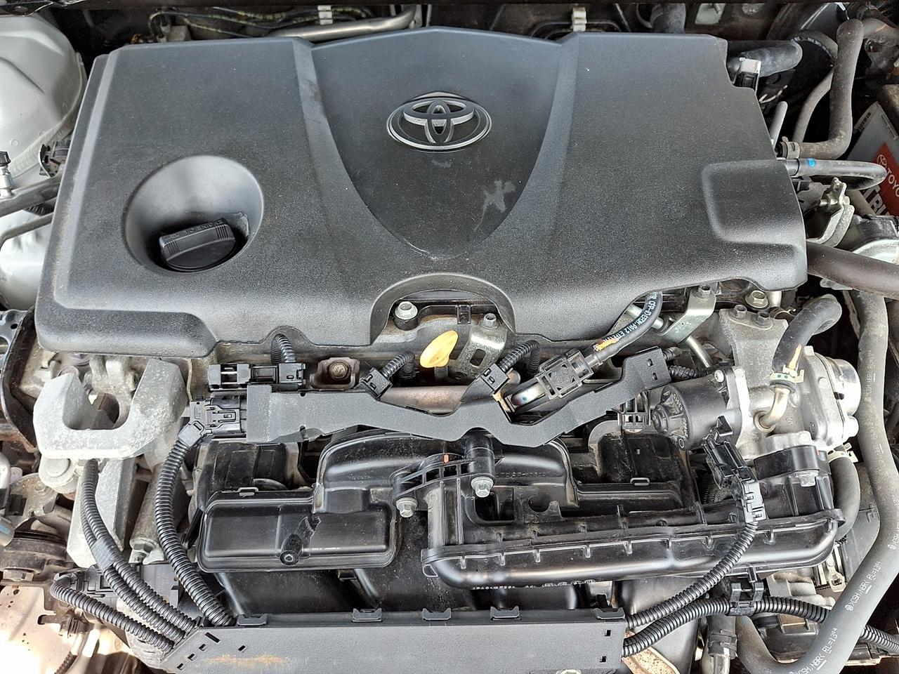 Toyota Camry LE Auto (Natl) 2022