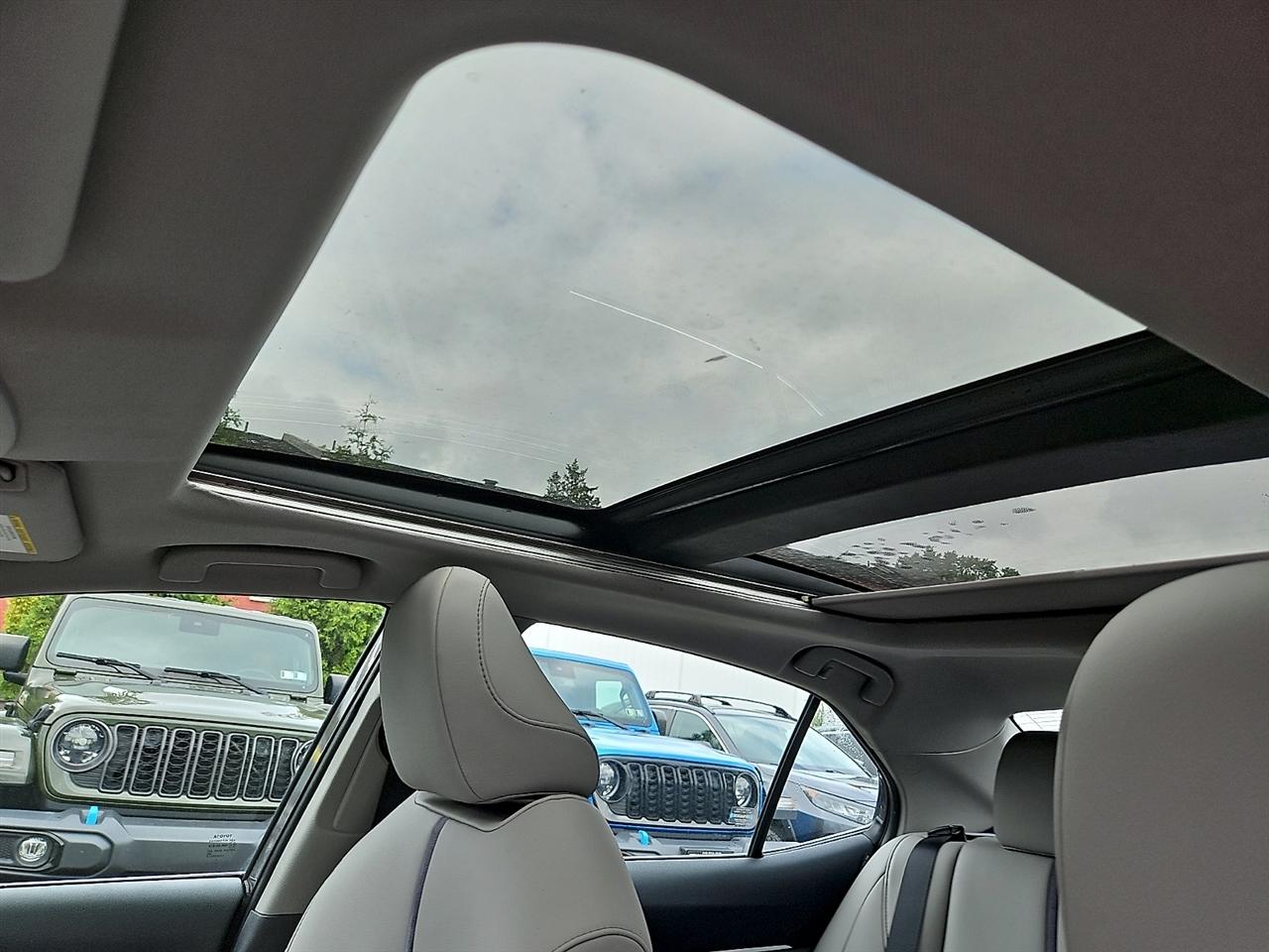 Toyota Camry XLE Auto AWD (Natl) 2023