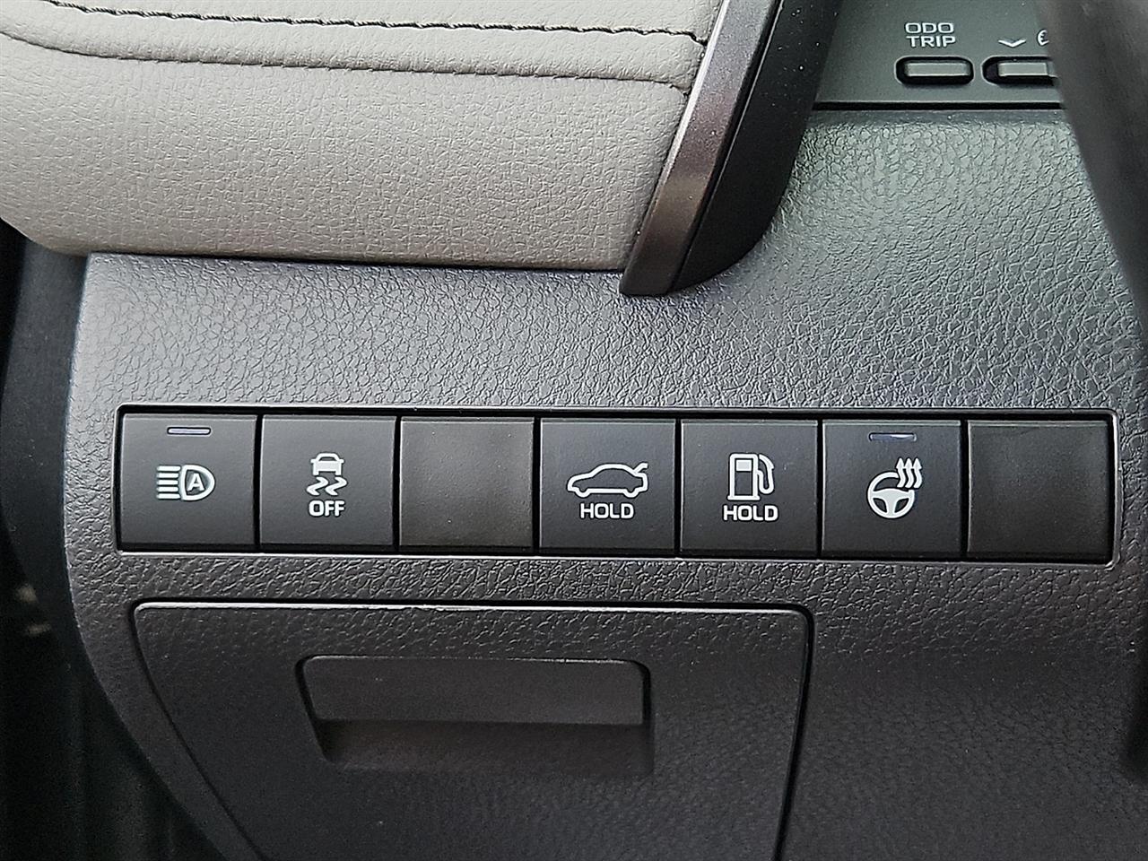 Toyota Camry XLE Auto AWD (Natl) 2023