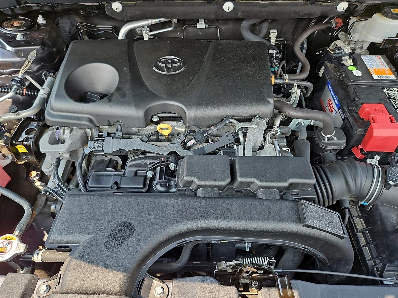 Toyota RAV4 LE AWD (Natl) 2020