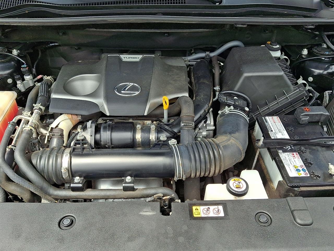 Lexus NX NX 300 AWD 2021