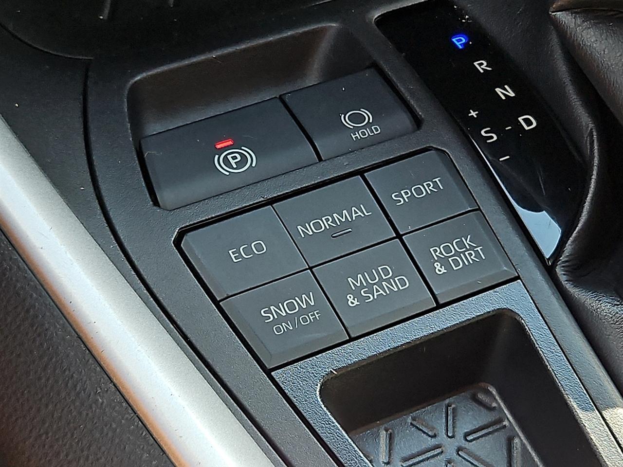Toyota RAV4 XLE AWD (Natl) 2022