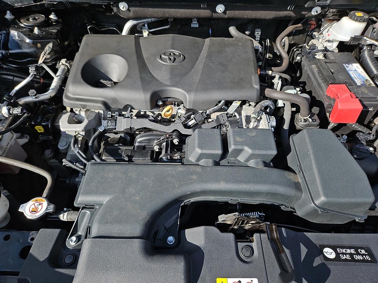 Toyota RAV4 XLE AWD (Natl) 2022