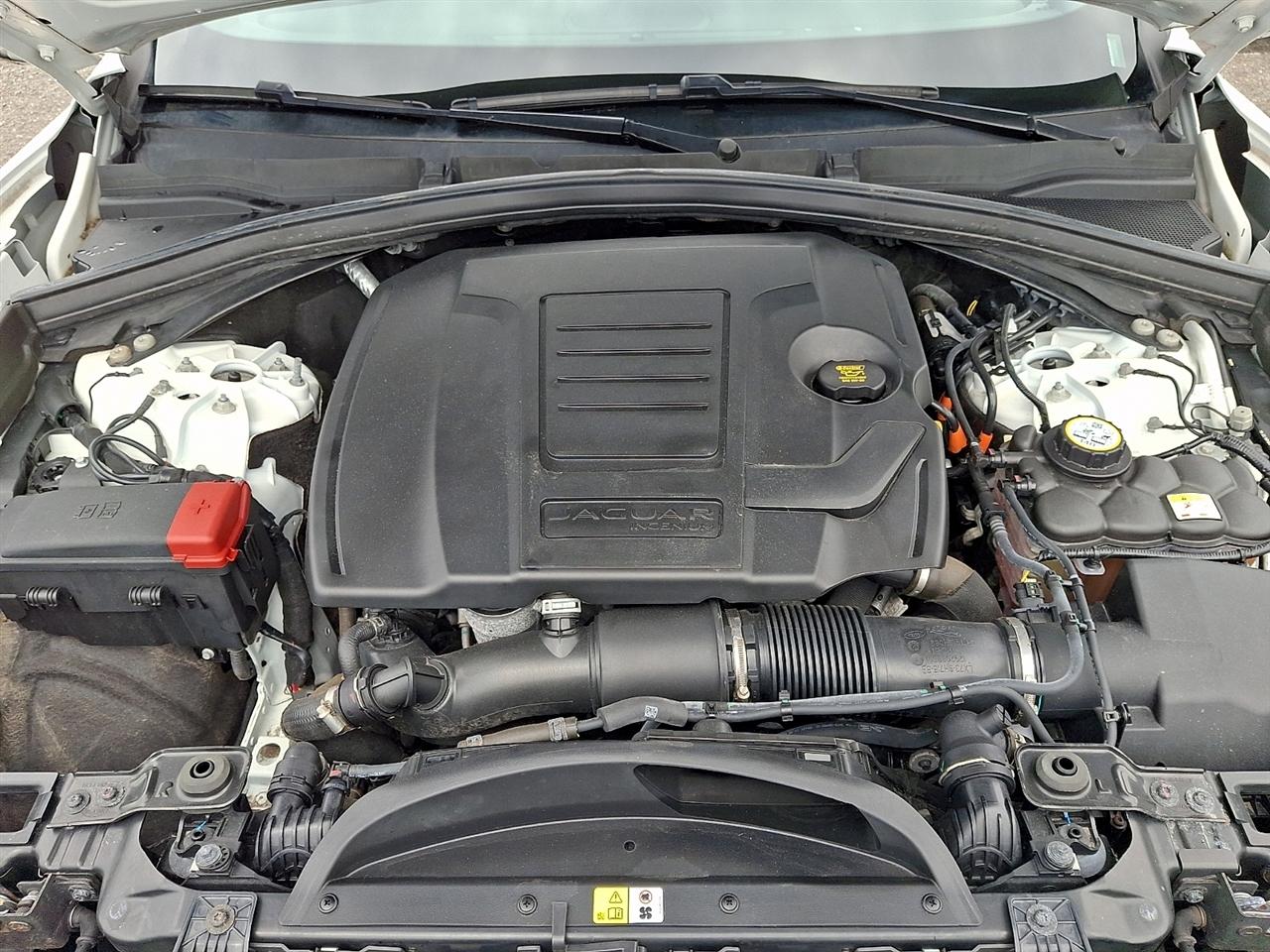 Jaguar F-Pace P250 AWD S 2022