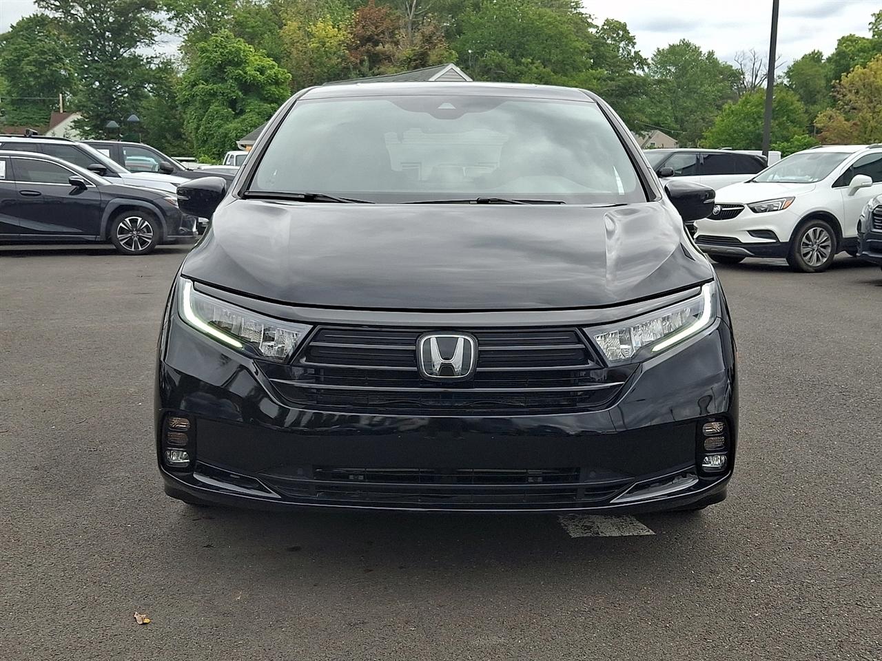 Honda Odyssey Sport Auto 2024