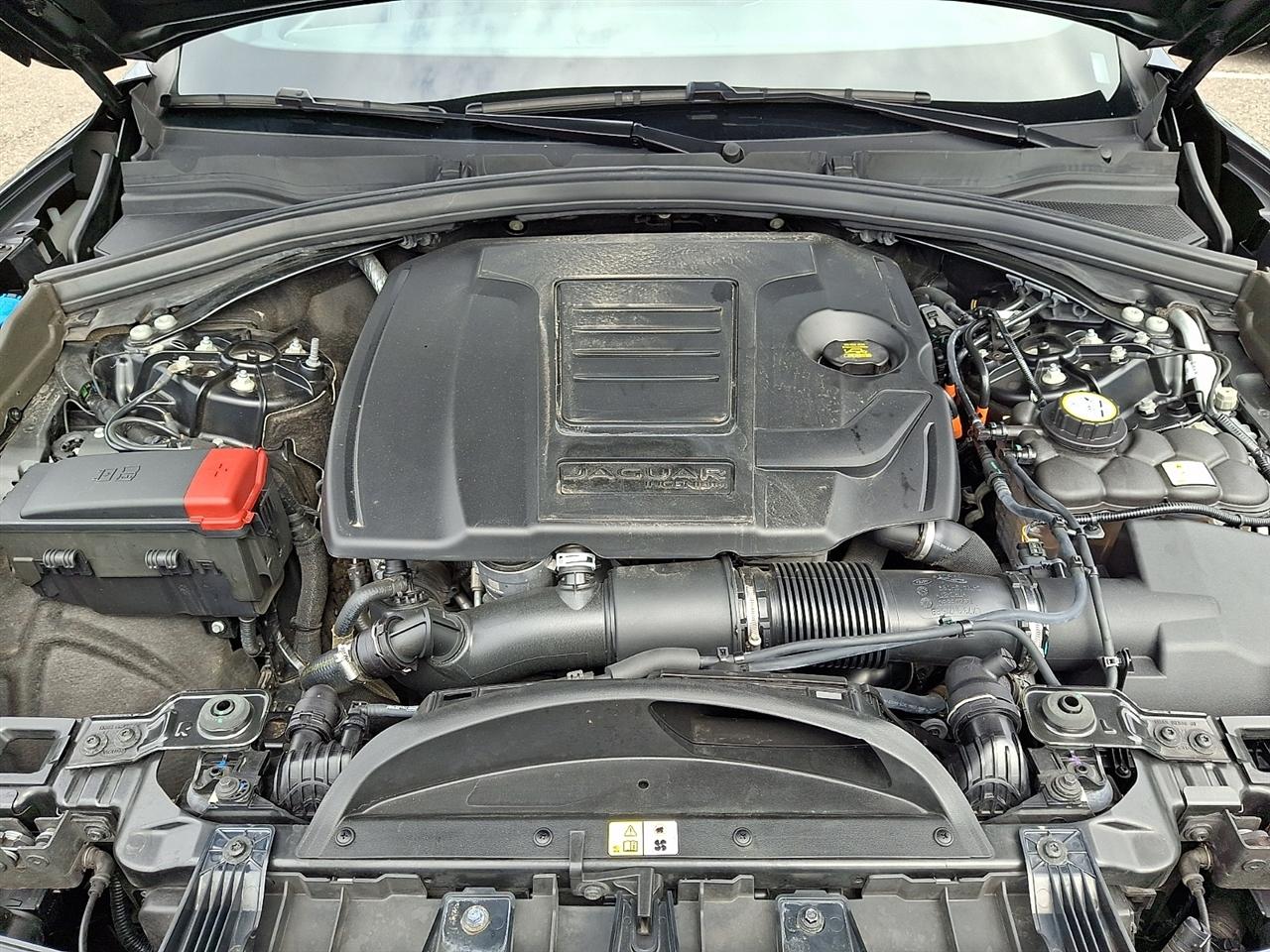 Jaguar F-Pace R-Dynamic S P250 AWD 2024