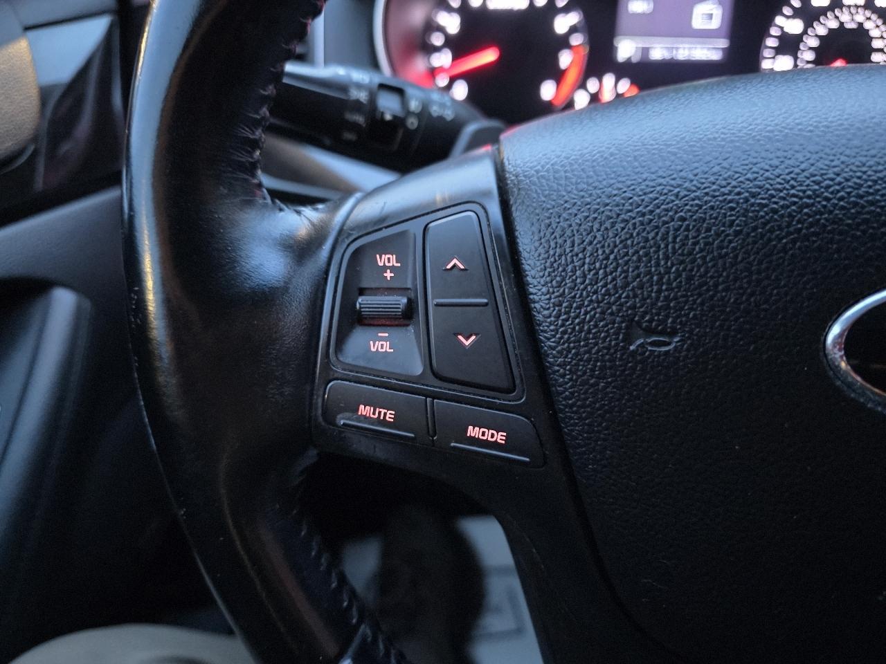 Kia Cadenza Sedan 2014