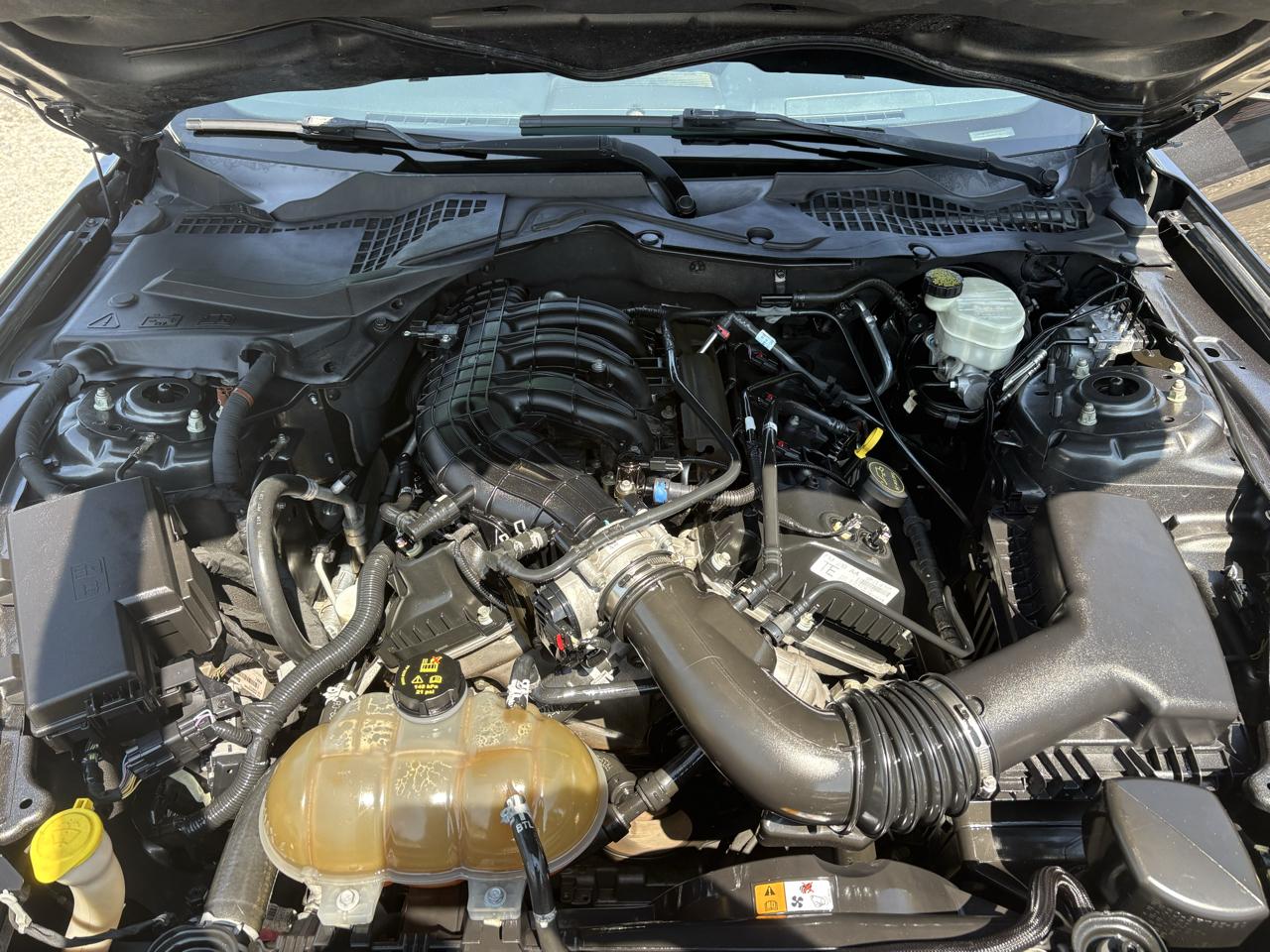 Ford Mustang V6 Coupe 2015