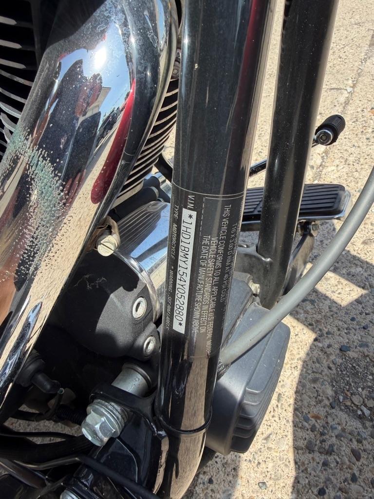 Harley-Davidson FLSTF  2004
