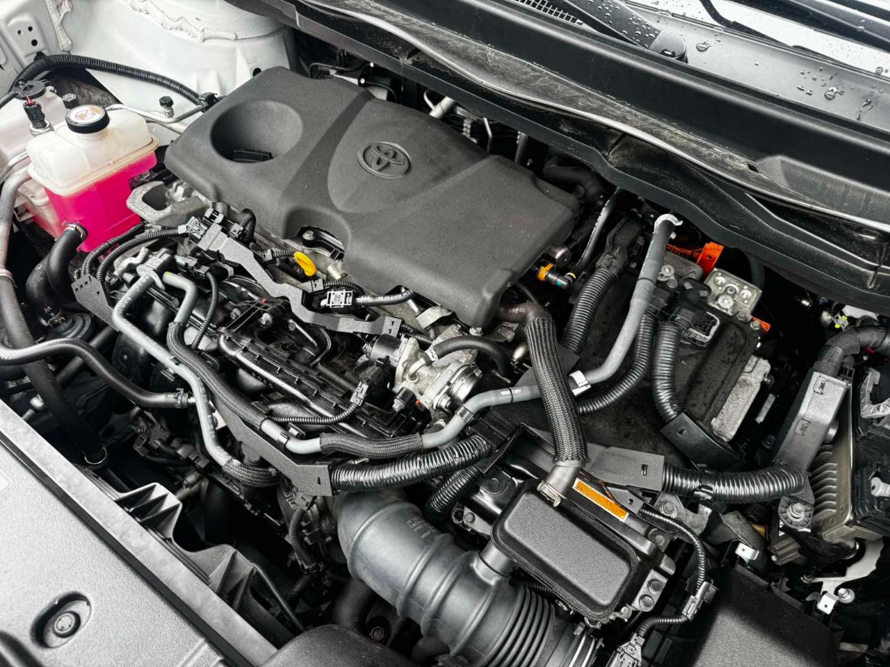 Toyota Sienna LE 8-Passenger 2022