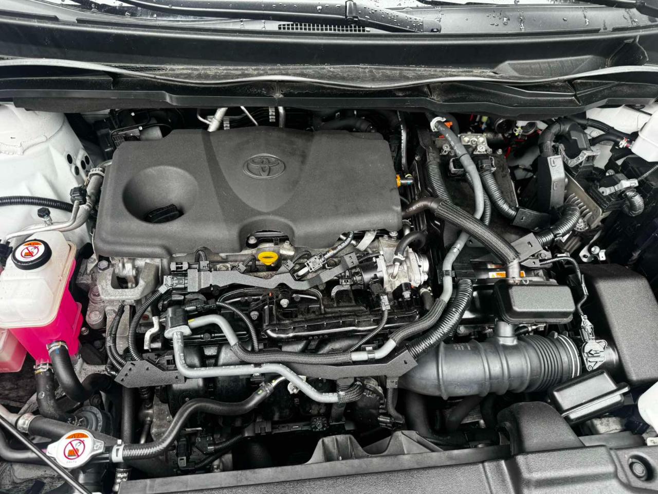 Toyota Sienna LE 8-Passenger 2022