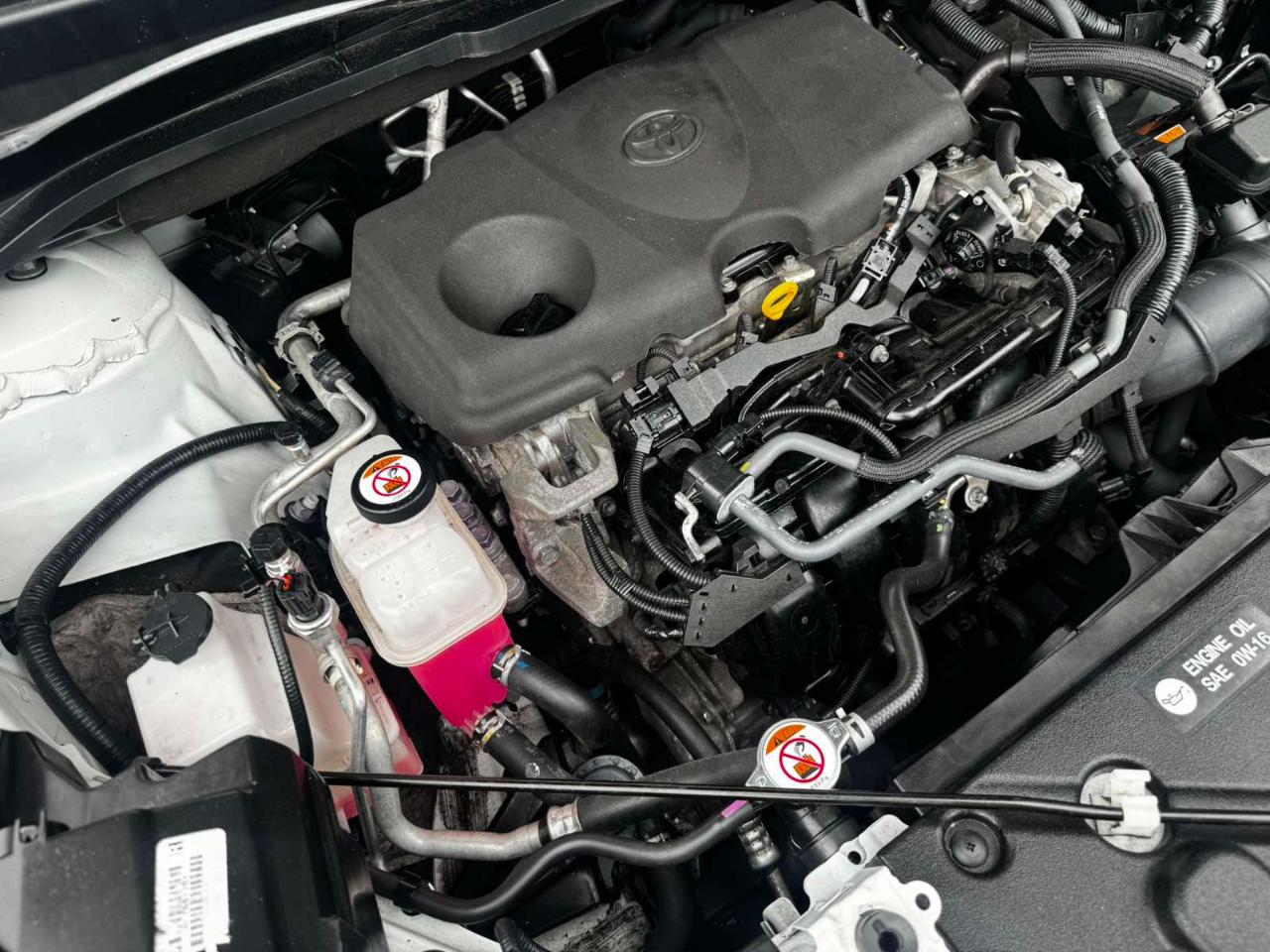 Toyota Sienna LE 8-Passenger 2022