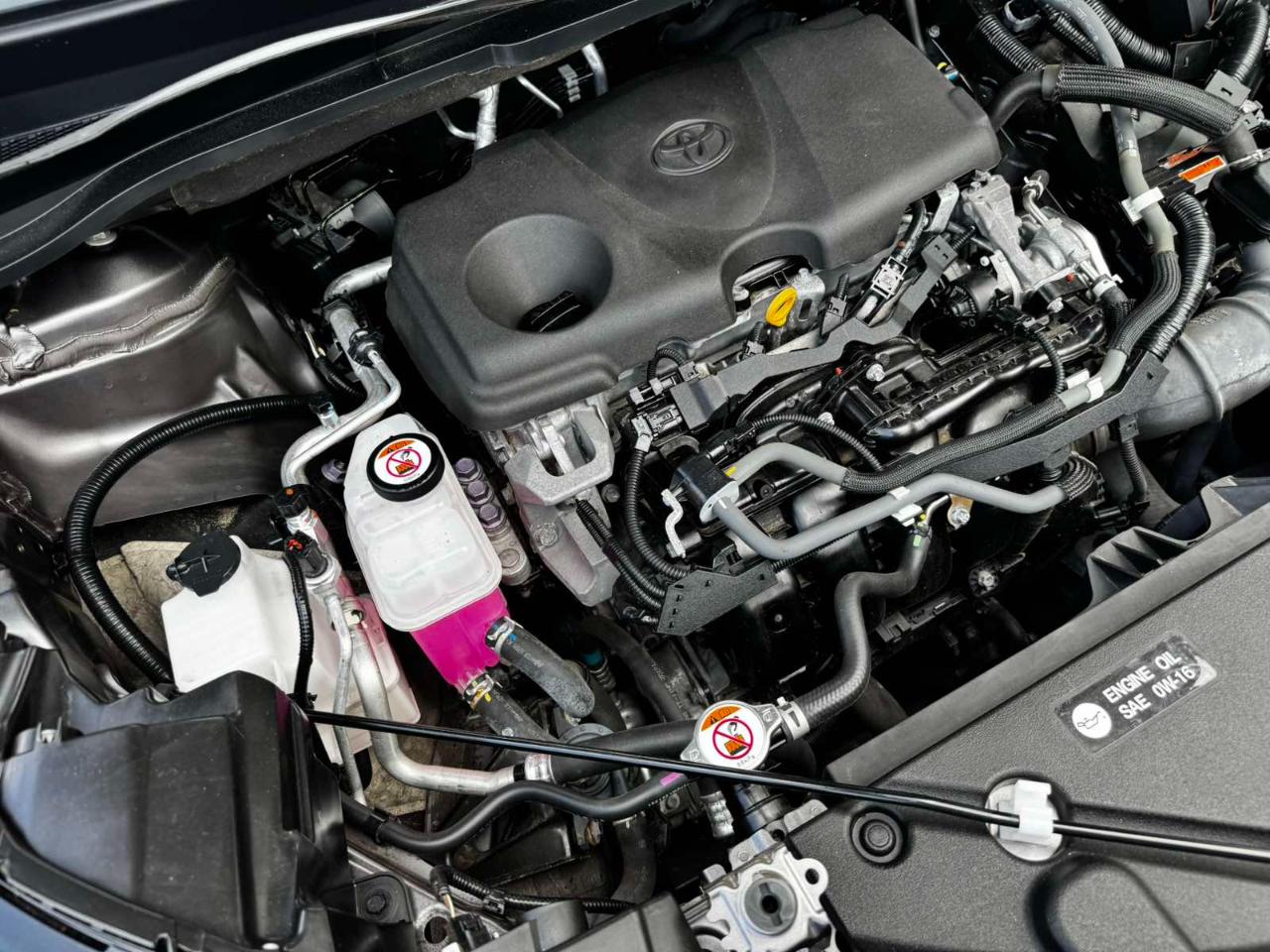 Toyota Sienna XLE 7-Passenger 2021