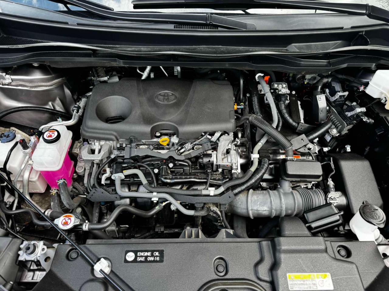 Toyota Sienna XLE 7-Passenger 2021