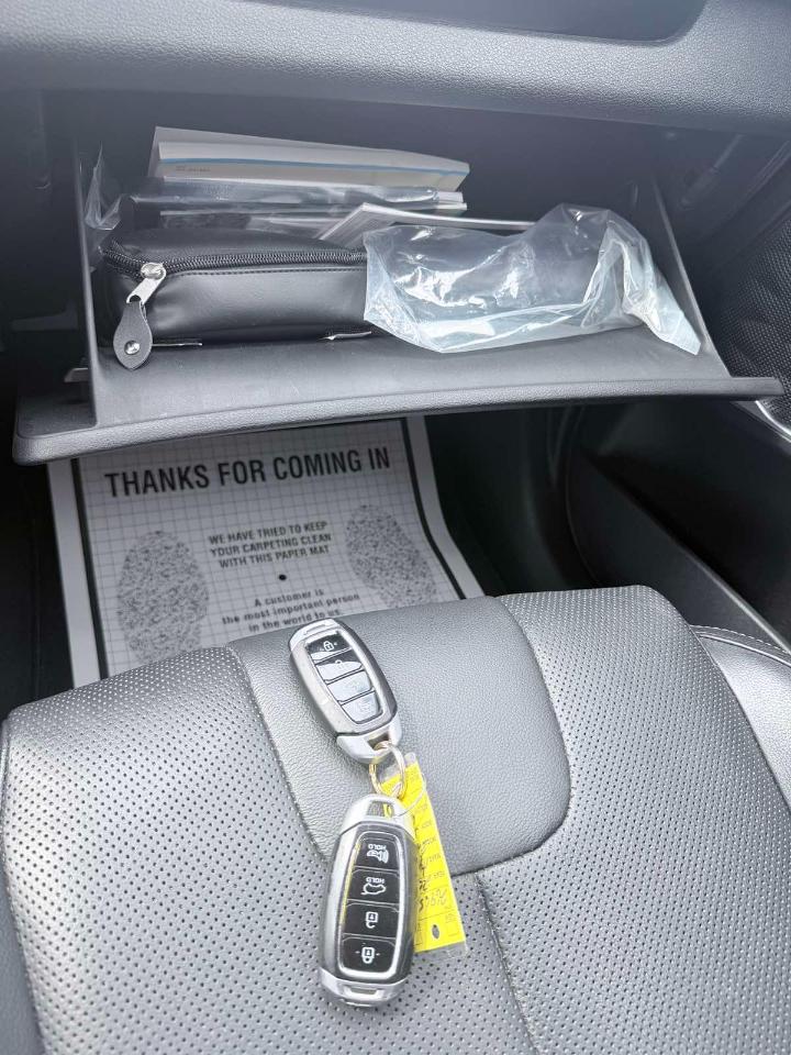 Hyundai Santa Fe Limited 2020