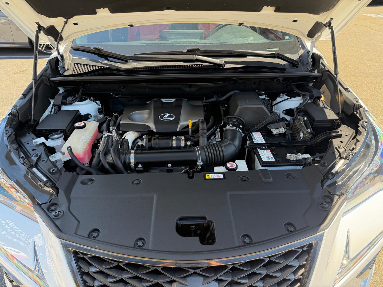 Lexus NX  2020