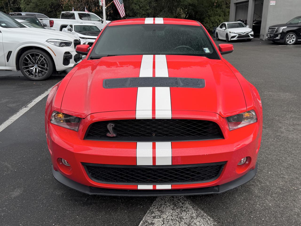 Ford Mustang 2dr Cpe Shelby GT500 2011