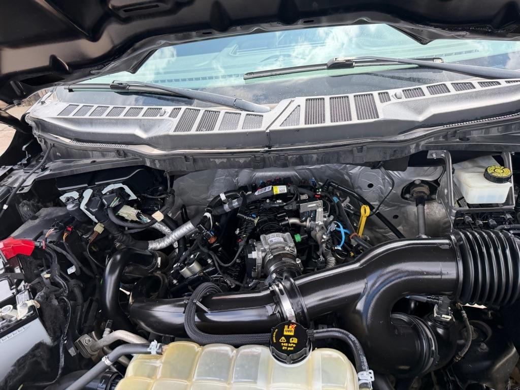 Ford F-150 XL SuperCrew 6.5-ft. Bed 4WD 2021