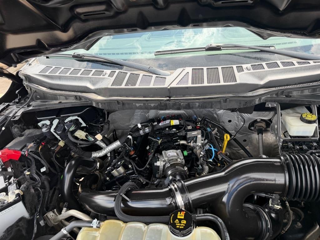 Ford F-150 XL SuperCrew 6.5-ft. Bed 4WD 2021