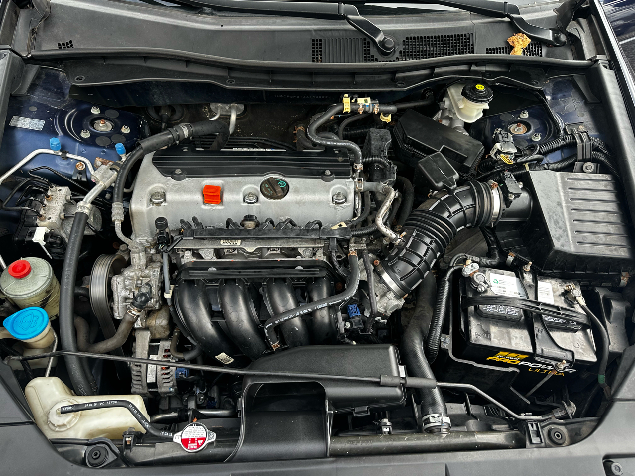 Honda Accord Sdn 4dr I4 Auto LX 2010