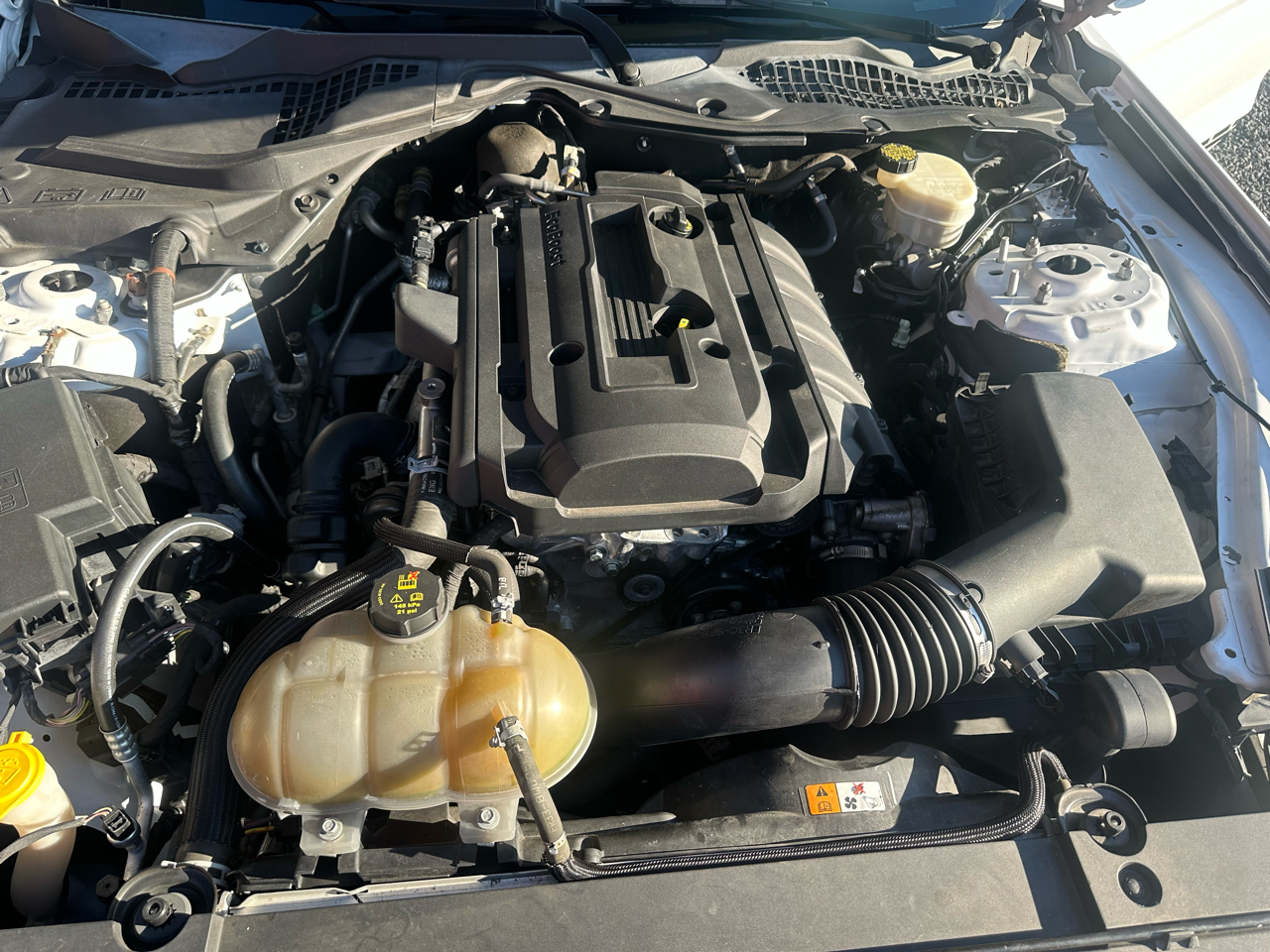 Ford Mustang 2dr Fastback EcoBoost 2016