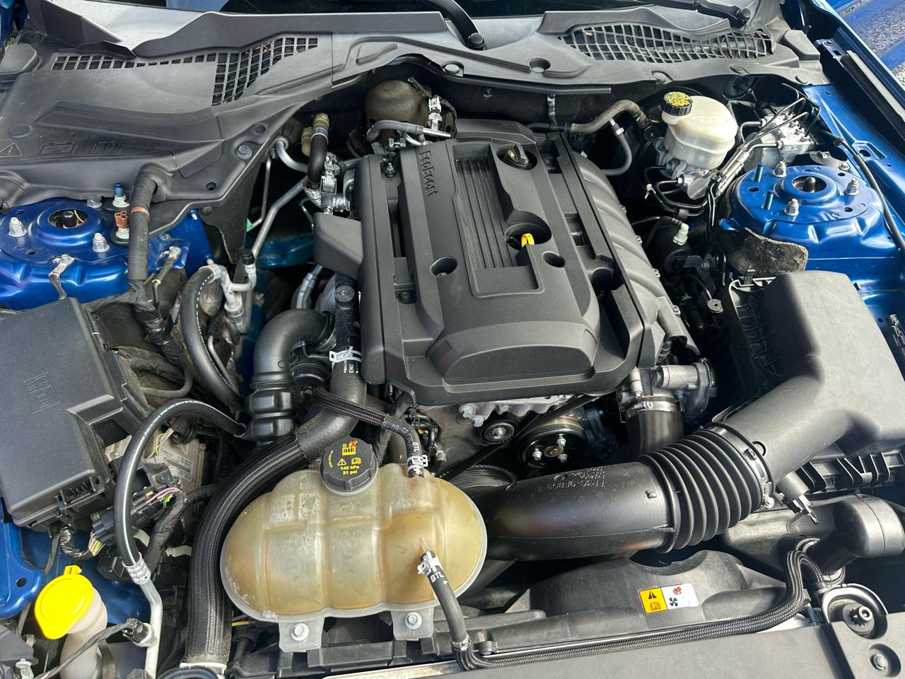 Ford Mustang EcoBoost Fastback 2017