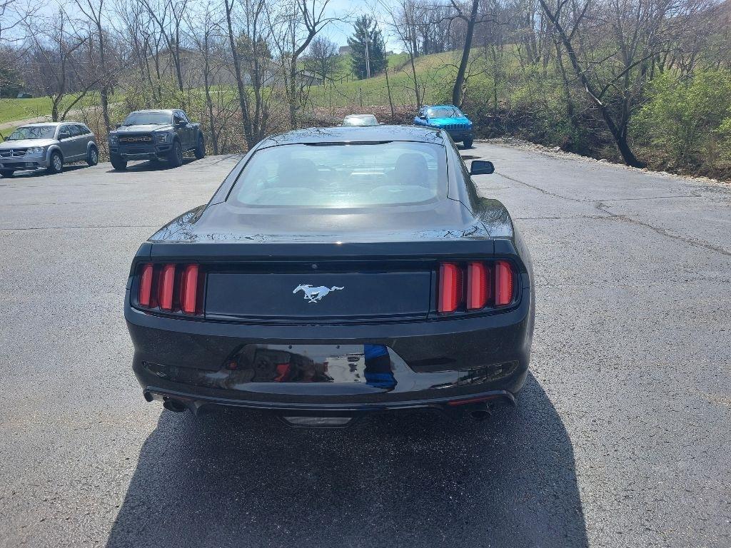 Ford Mustang  2015