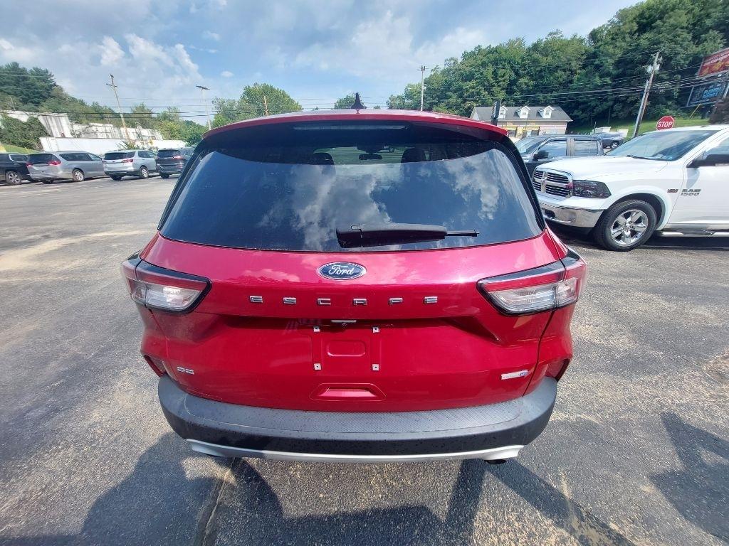 Ford Escape  2020