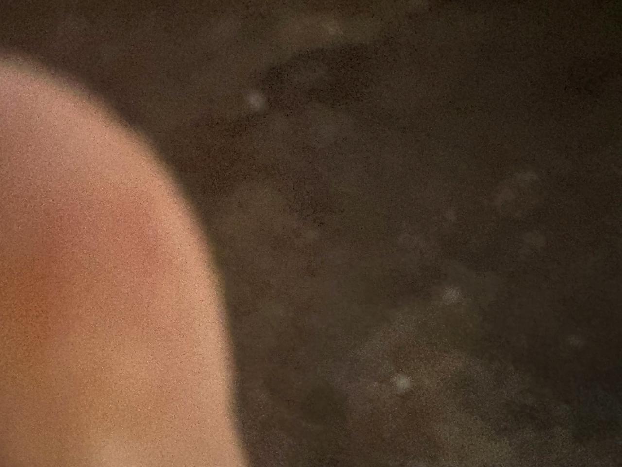 Volkswagen Microbus  1966