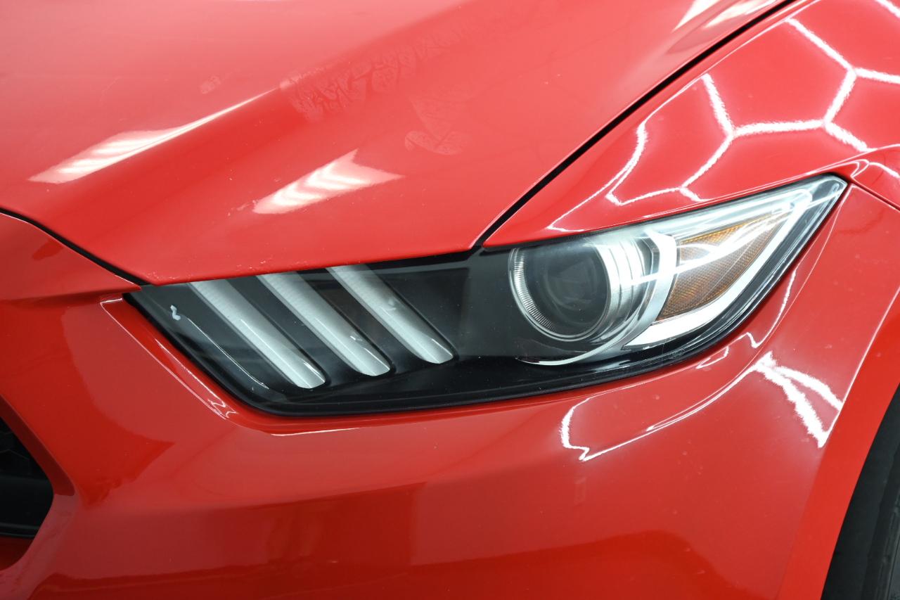 Ford Mustang GT Coupe 2016