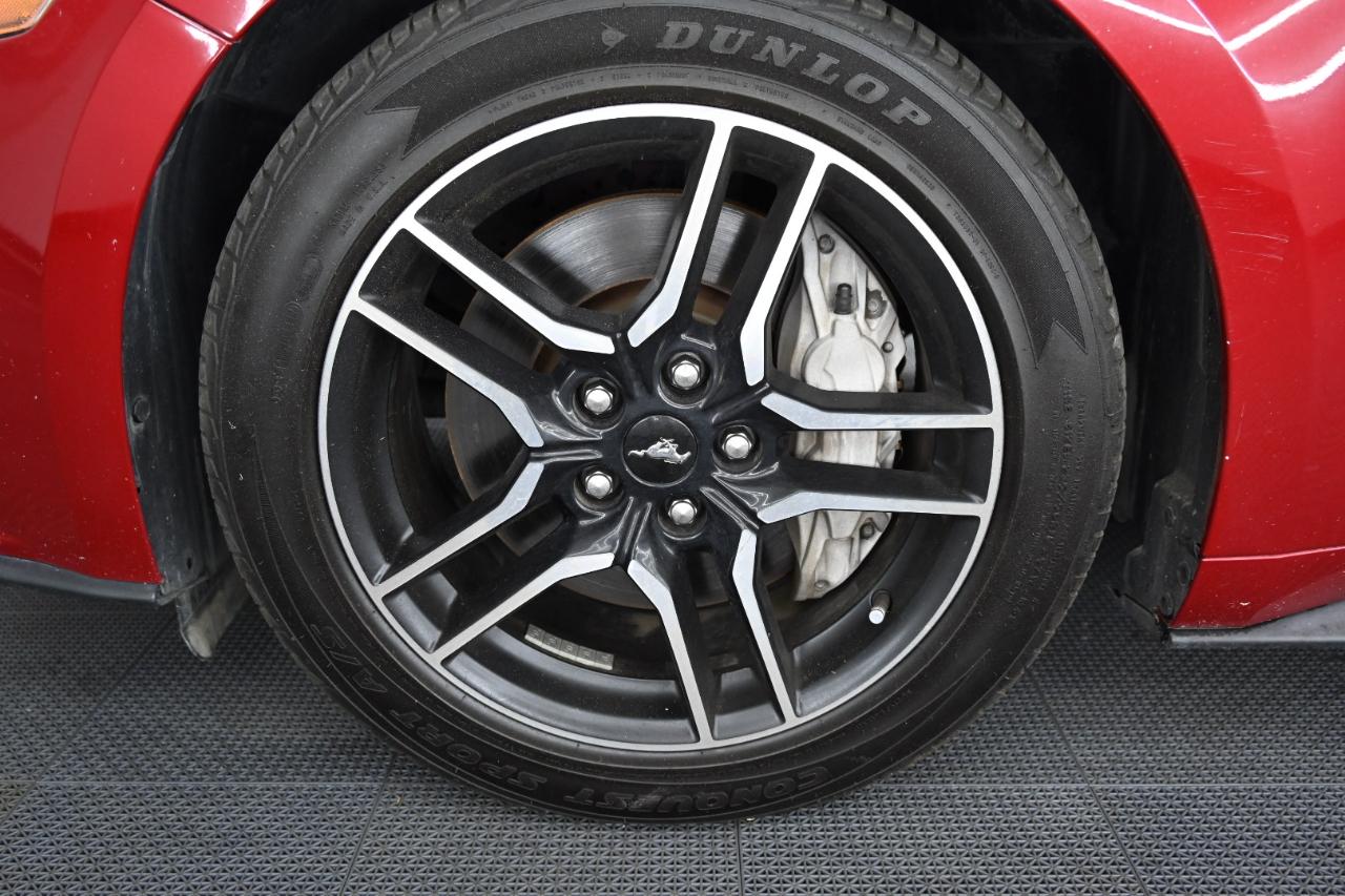 Ford Mustang GT Coupe 2020