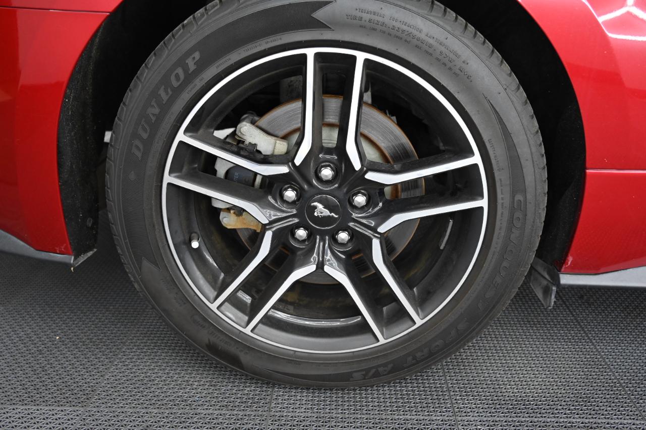 Ford Mustang GT Coupe 2020