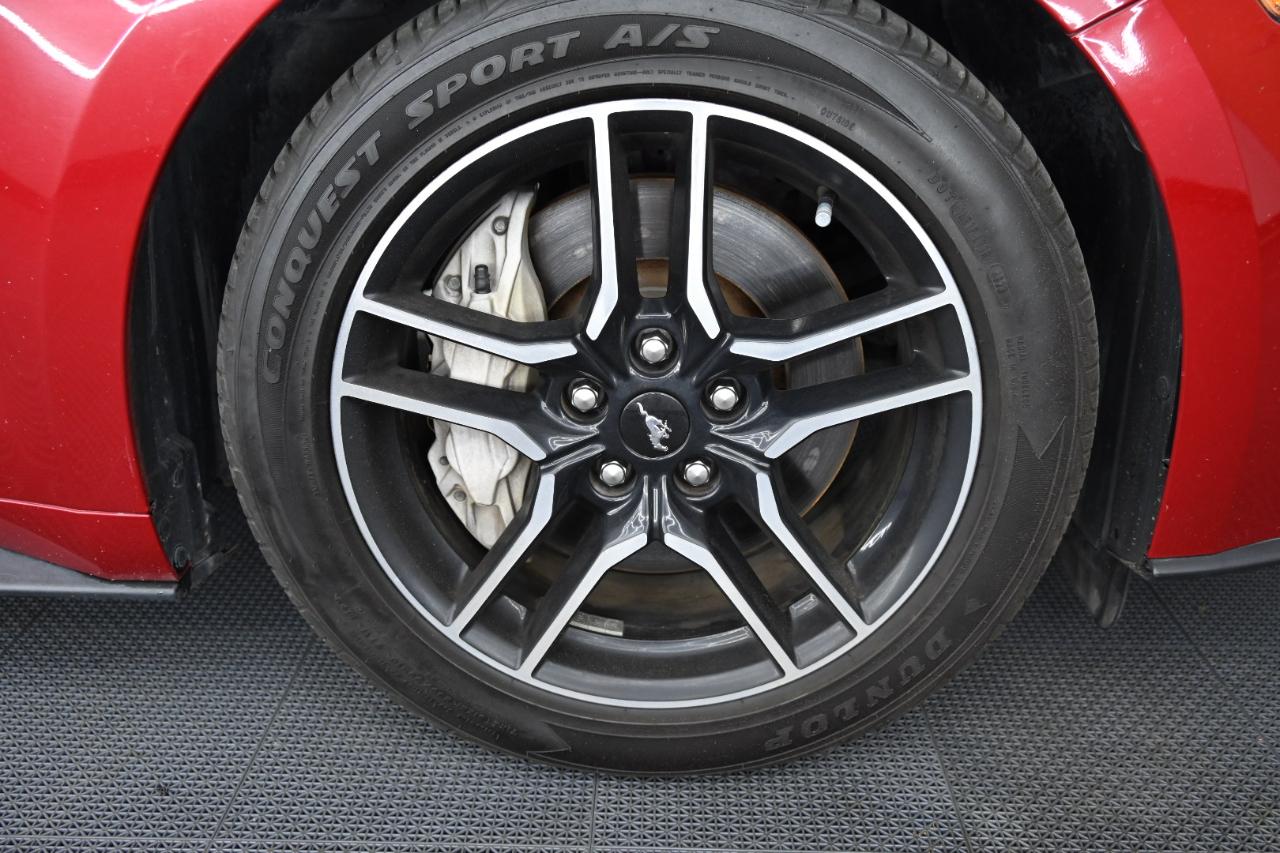 Ford Mustang GT Coupe 2020