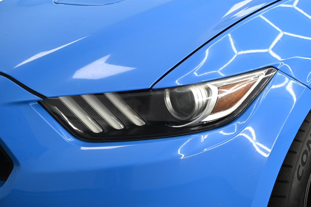Ford Mustang GT Coupe 2017